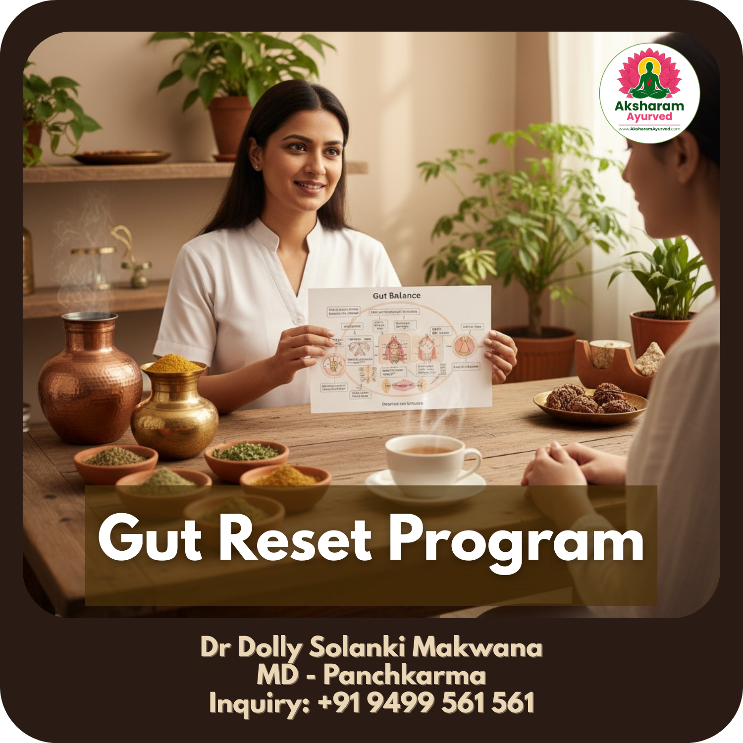 Gut Reset Program